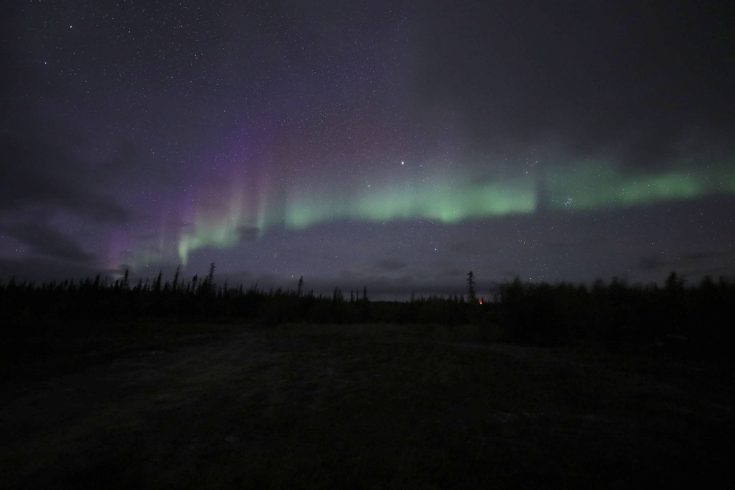 旅が終わって 職人ｓのあまごに片思い 楽天ブログ