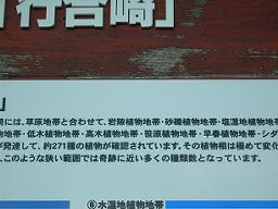 DSCN5853-w256.jpg