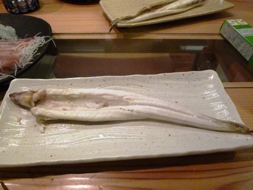 P1060221.JPG