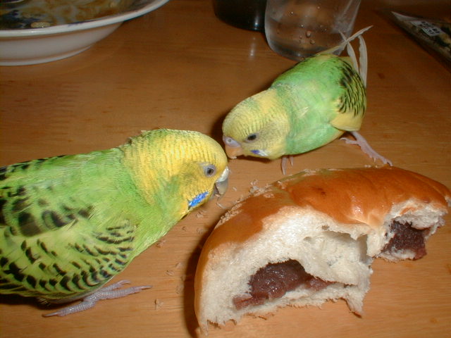 PIC00032.JPG