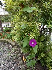 DSCN0543.jpg