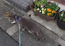 IMG_5383-20.jpg