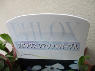 IMG_8636ss.jpg
