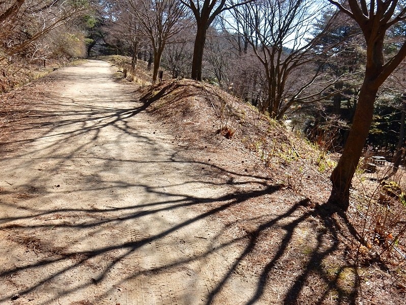 園内路3.JPG