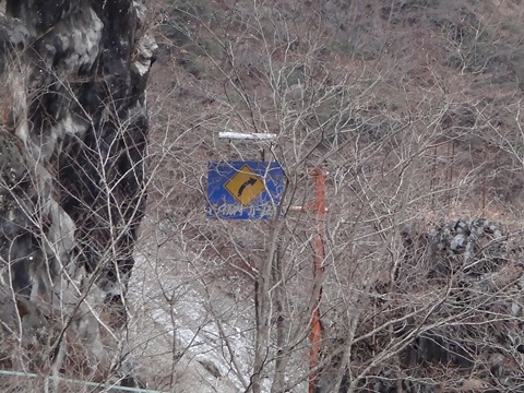 DSC00057 2.jpg