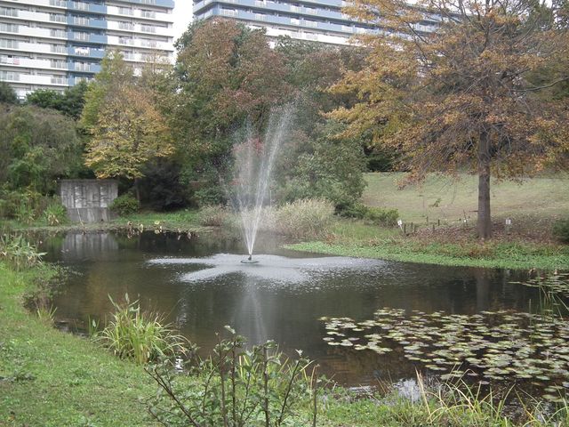 DSCF8530.JPG