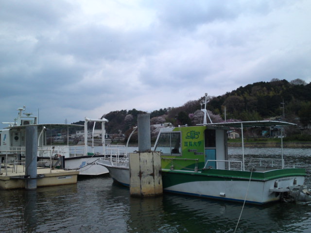 2012-04-16 05:36:42