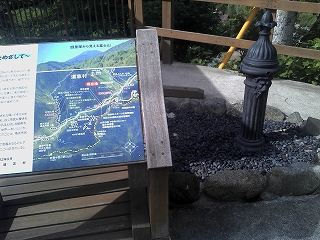 2014-08-04 08.07.55.jpg