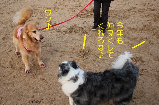 なかよし