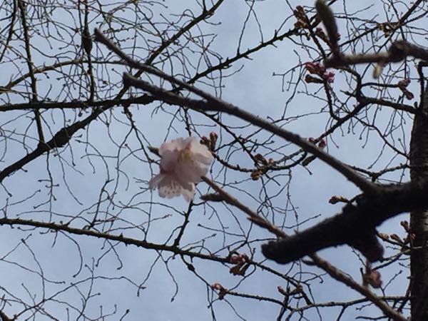 rblog-20180305085138-00.jpg