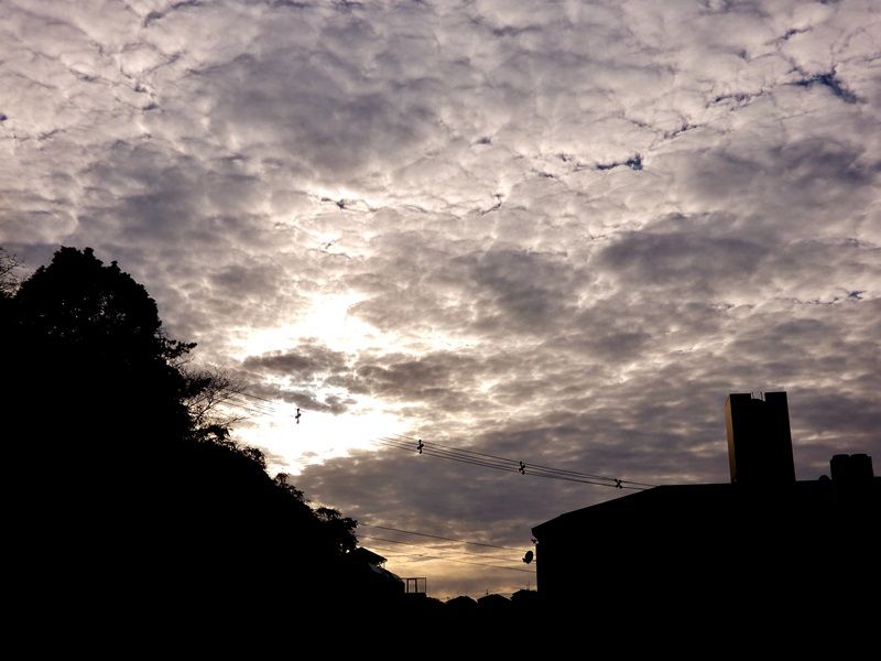 夕暮れ1