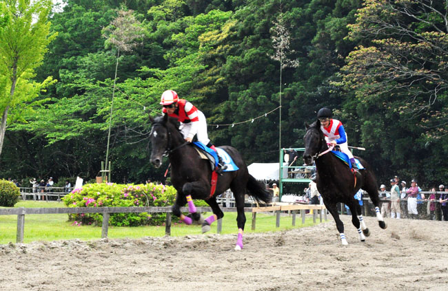 馬４