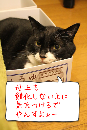 WmGEJlhFRkh6F9T1387507318_1387507695.png