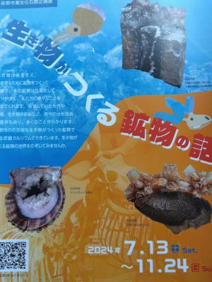 【中古】 塚原哲夫画集/求龍堂/塚原哲夫 塚原哲夫画集｜求龍堂