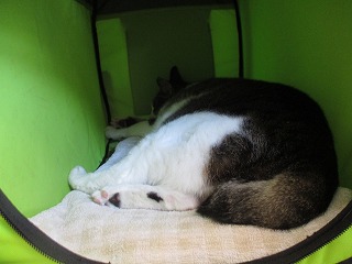 IMG_7313ss.jpg