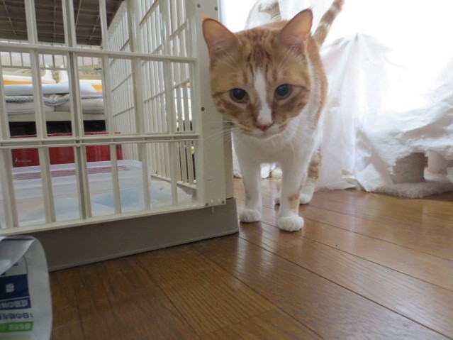 無題-24bitカラー-10.jpg