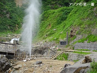20160705 善光寺　野猿公苑15