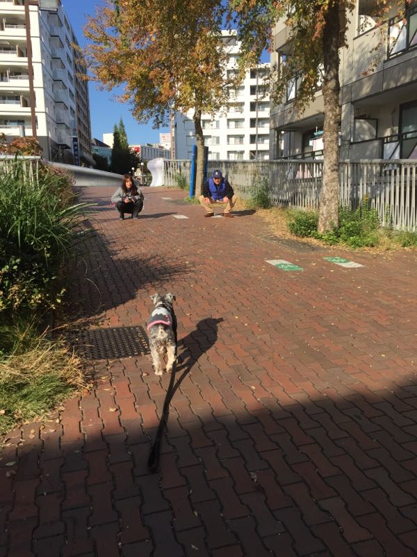 rblog-20161107004346-01.jpg