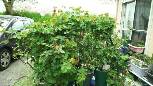 rblog-20180408004709-04.jpg