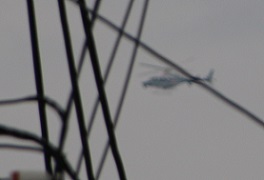 IMG_4223-5.jpg