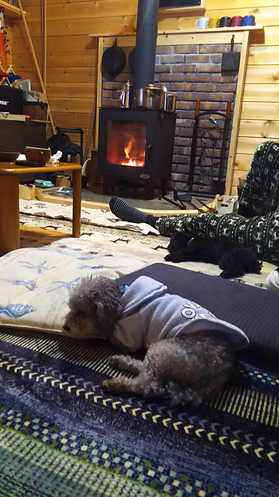 ペット 愛犬のプードルと小さなログハウスに薪ストーブを 楽天ブログ