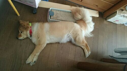 rblog-20161018222550-05.jpg
