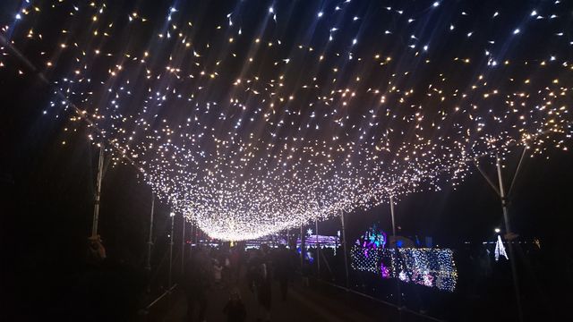 2015-12-20 18.24.18.jpg
