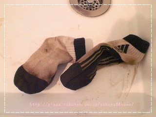 CIMG1574 (640x480).jpg