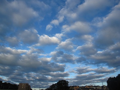 IMG_9838.JPG