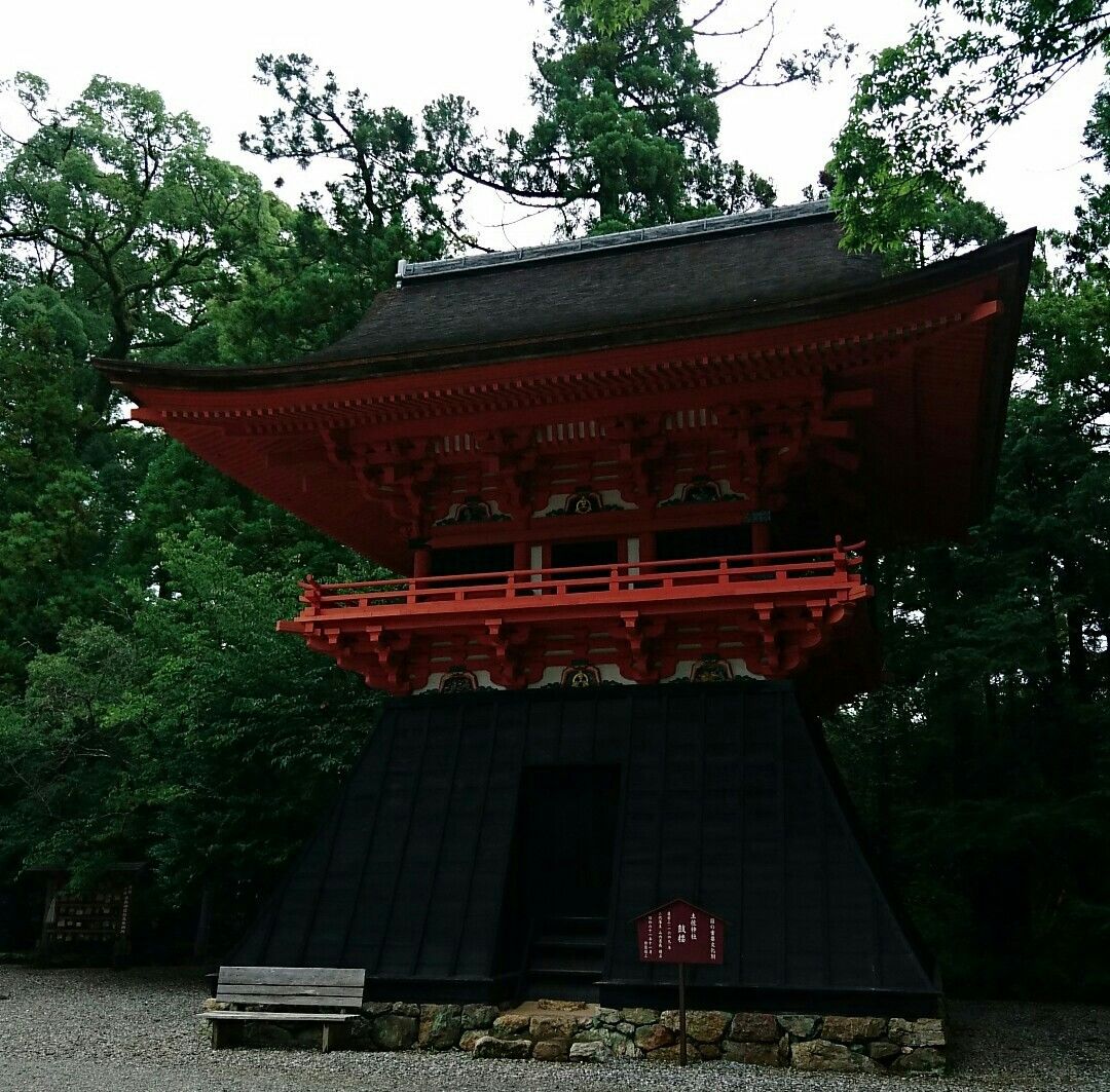 土佐神社 海の日 高知へgo その4 夜空に輝く一番星 楽天ブログ