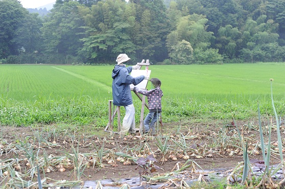 2013.6.21 015.JPG