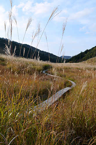 砥峰高原3