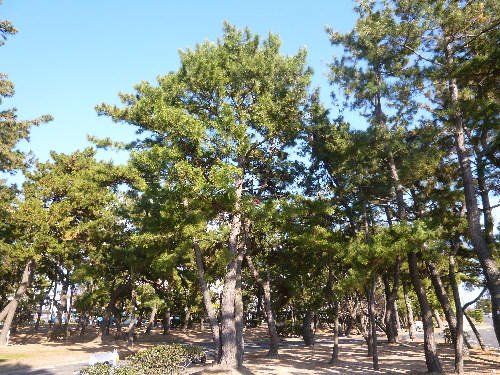 P1080292(1).JPG
