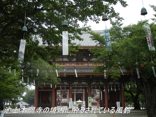 池上本門寺にて