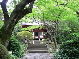 さくらタワー　観音堂