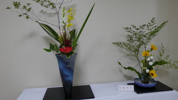 P1000169 (600x337).jpg
