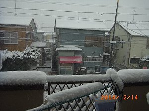 H26.2.14大雪３.jpg