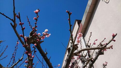 rblog-20180302211108-05.jpg