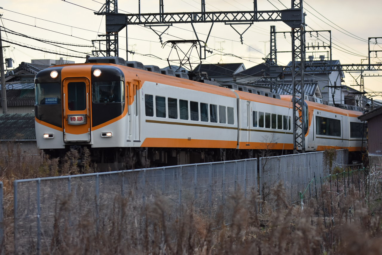 DSC_4985.JPG