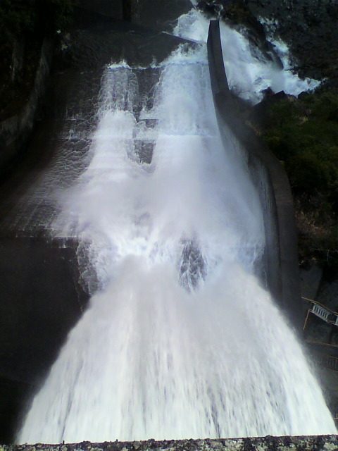 2013010216550001.jpg