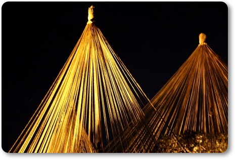 兼六園ライトアップ　・冬の段-9 14.2.4