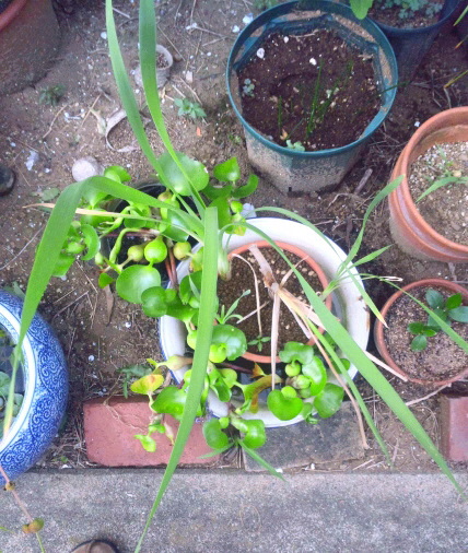 2014-07-31 18:58:04