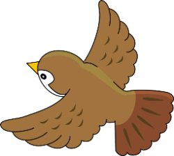 suzume38ne.png