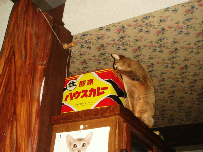 DSC08905.jpg