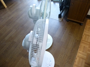 P1050002.JPG