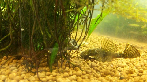 2015033105.jpg