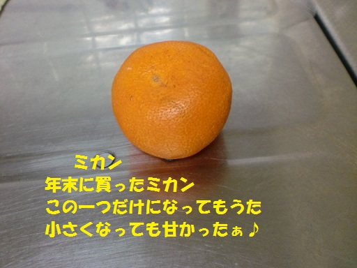 CIMG6330.JPG