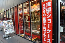 akiba130112l.jpg