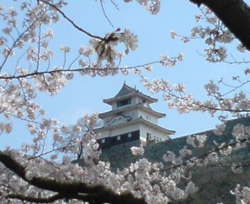 20120409124147.jpg丸亀城と桜.jpg