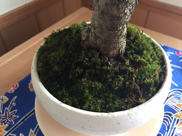 rblog-20160305234730-02.jpg